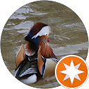 Dror Ben David profile picture