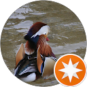 Dror Ben David profile picture